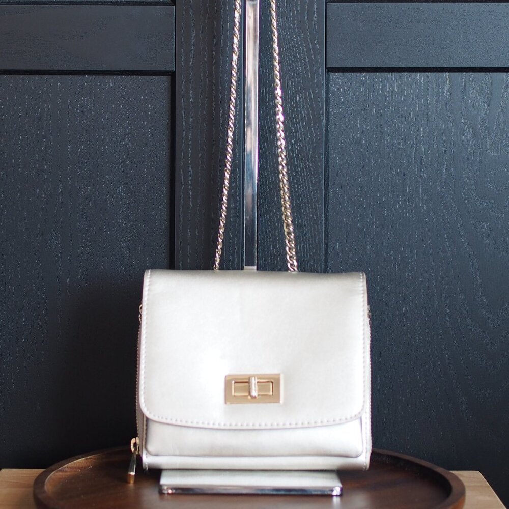 Danier | Like NEW Small Silver/Gold Leather Crossbody Bag
